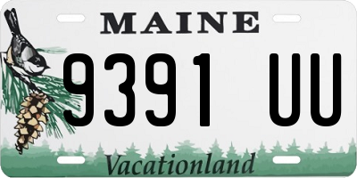 ME license plate 9391UU