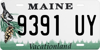 ME license plate 9391UY