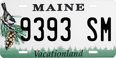 ME license plate 9393SM