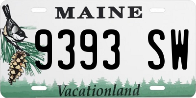 ME license plate 9393SW