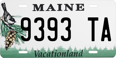 ME license plate 9393TA