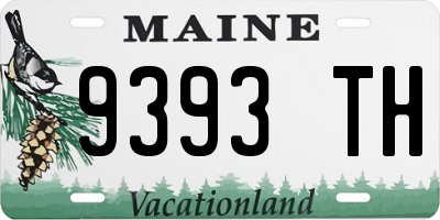 ME license plate 9393TH
