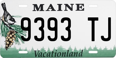 ME license plate 9393TJ