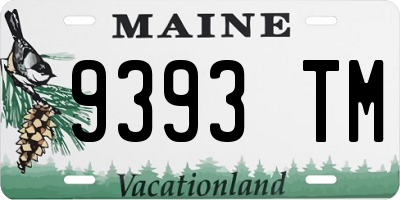 ME license plate 9393TM