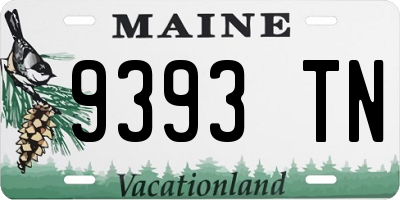 ME license plate 9393TN