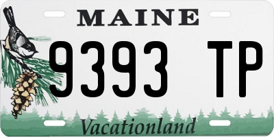 ME license plate 9393TP