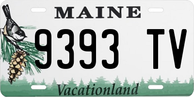 ME license plate 9393TV