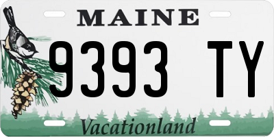 ME license plate 9393TY