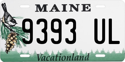 ME license plate 9393UL