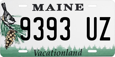 ME license plate 9393UZ