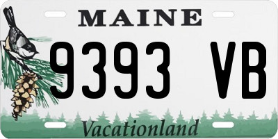 ME license plate 9393VB