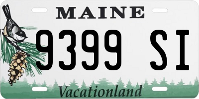 ME license plate 9399SI