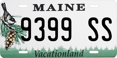 ME license plate 9399SS