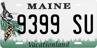 ME license plate 9399SU