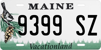 ME license plate 9399SZ
