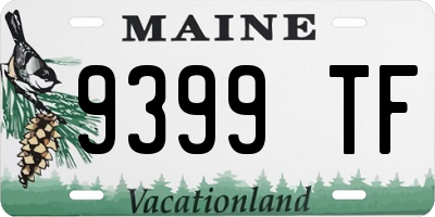 ME license plate 9399TF