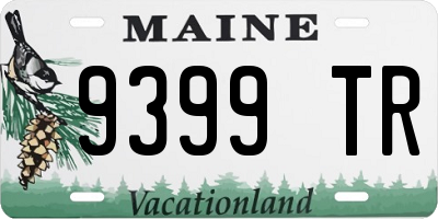 ME license plate 9399TR
