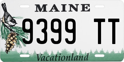 ME license plate 9399TT