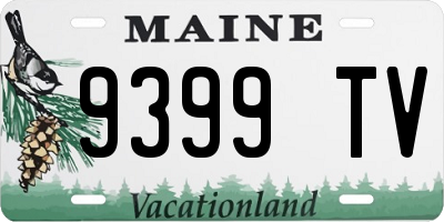 ME license plate 9399TV