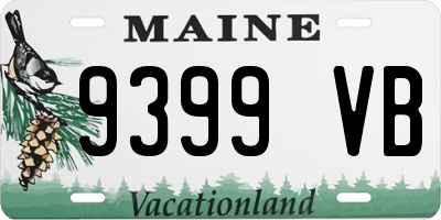 ME license plate 9399VB