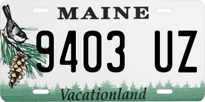 ME license plate 9403UZ
