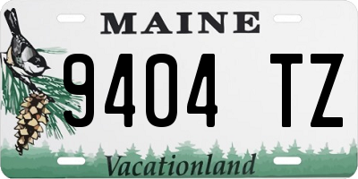 ME license plate 9404TZ