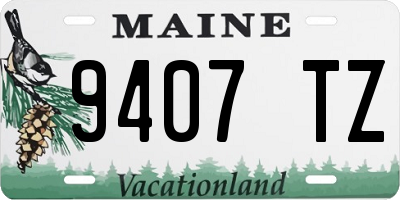ME license plate 9407TZ