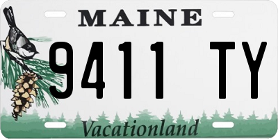 ME license plate 9411TY