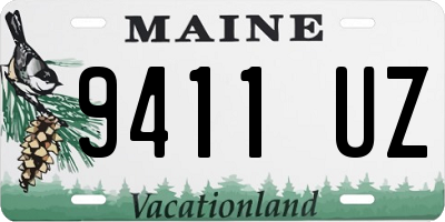 ME license plate 9411UZ