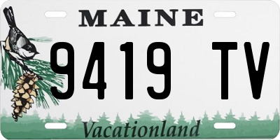 ME license plate 9419TV