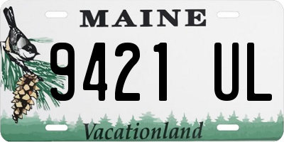 ME license plate 9421UL