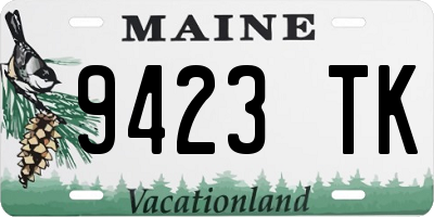 ME license plate 9423TK