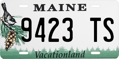 ME license plate 9423TS