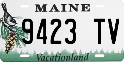 ME license plate 9423TV