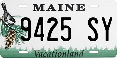 ME license plate 9425SY