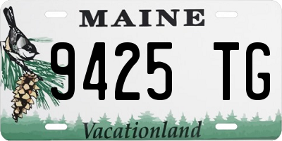 ME license plate 9425TG