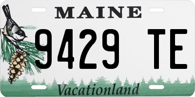 ME license plate 9429TE