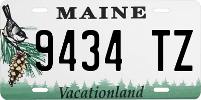ME license plate 9434TZ