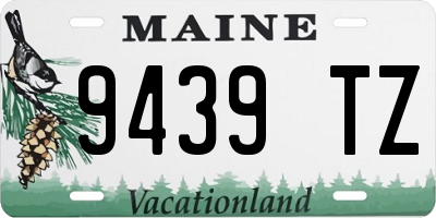 ME license plate 9439TZ