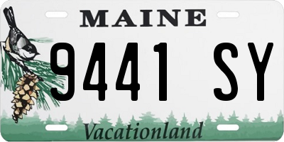 ME license plate 9441SY