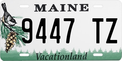 ME license plate 9447TZ