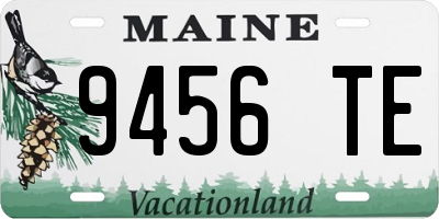 ME license plate 9456TE