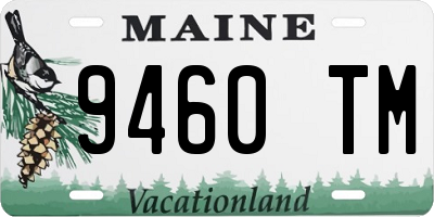 ME license plate 9460TM