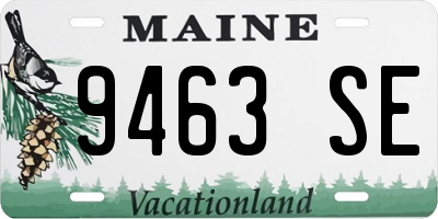 ME license plate 9463SE