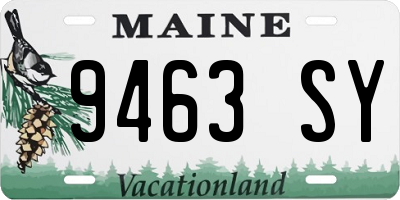ME license plate 9463SY