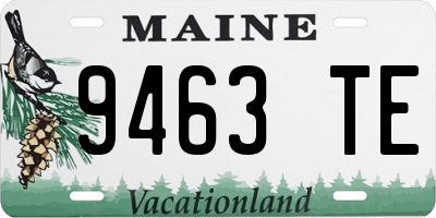ME license plate 9463TE