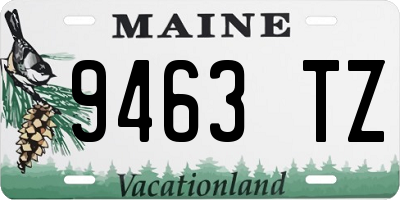 ME license plate 9463TZ