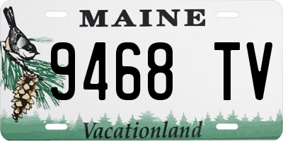 ME license plate 9468TV