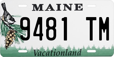 ME license plate 9481TM