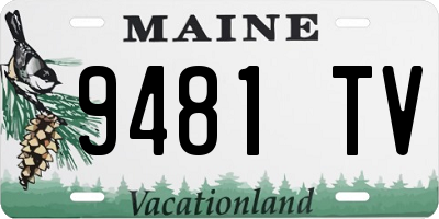 ME license plate 9481TV